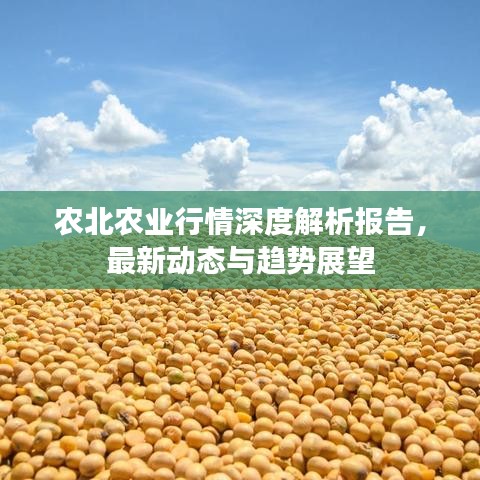 农北农业行情深度解析报告，最新动态与趋势展望