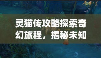 灵猫传攻略探索奇幻旅程，揭秘未知秘境之旅