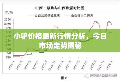 小驴价格最新行情分析，今日市场走势揭秘