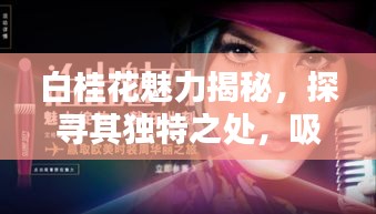 白桂花魅力揭秘，探寻其独特之处，吸引百度收录！