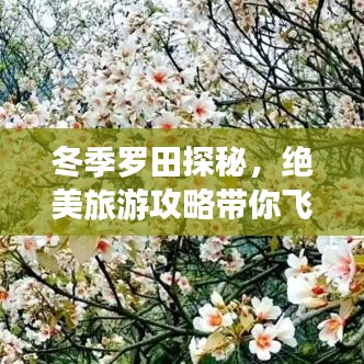 冬季罗田探秘，绝美旅游攻略带你飞雪世界之旅