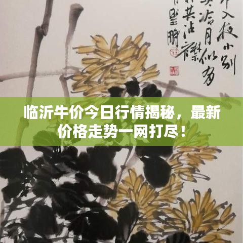临沂牛价今日行情揭秘，最新价格走势一网打尽！