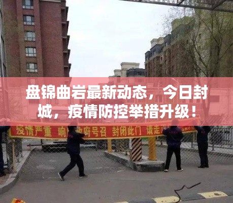 盘锦曲岩最新动态，今日封城，疫情防控举措升级！