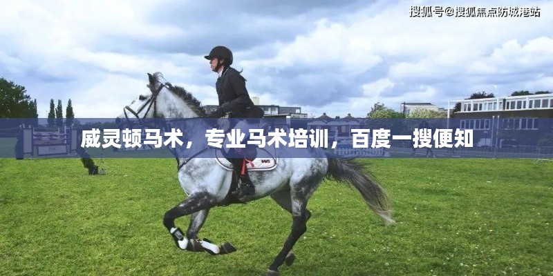 威灵顿马术，专业马术培训，百度一搜便知