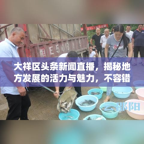 大祥区头条新闻直播，揭秘地方发展的活力与魅力，不容错过！