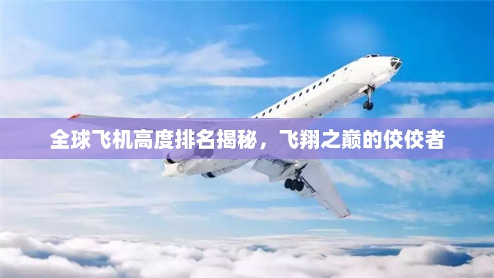 全球飞机高度排名揭秘，飞翔之巅的佼佼者