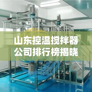 山东控温搅拌器公司排行榜揭晓，领先企业一览