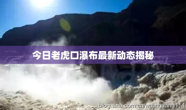 今日老虎口瀑布最新动态揭秘