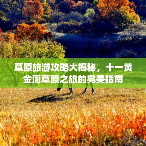 草原旅游攻略大揭秘，十一黄金周草原之旅的完美指南