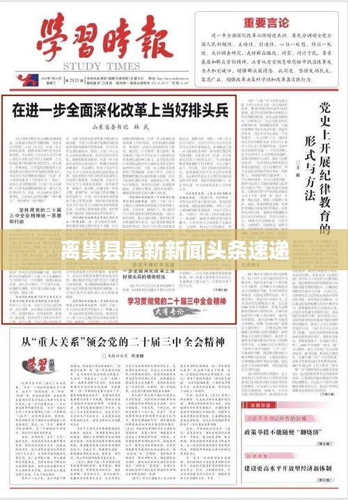 离巢县最新新闻头条速递