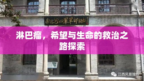 淋巴瘤，希望与生命的救治之路探索