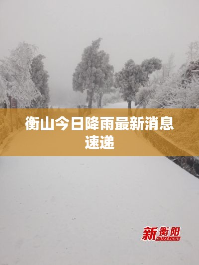 衡山今日降雨最新消息速递
