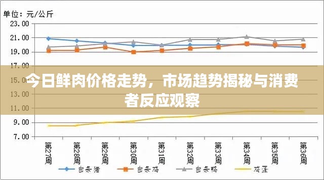 今日鲜肉价格走势，市场趋势揭秘与消费者反应观察
