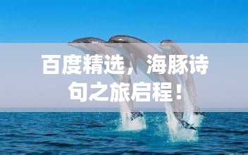 百度精选，海豚诗句之旅启程！