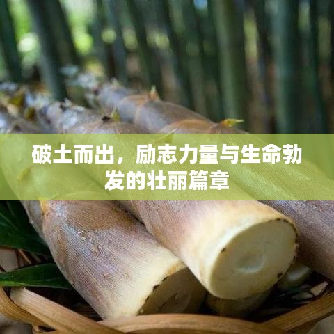破土而出，励志力量与生命勃发的壮丽篇章