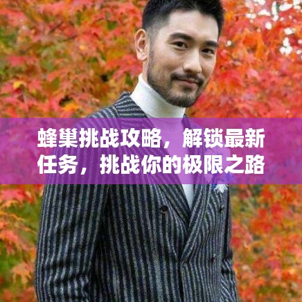 蜂巢挑战攻略，解锁最新任务，挑战你的极限之路