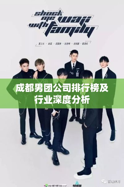 成都男团公司排行榜及行业深度分析