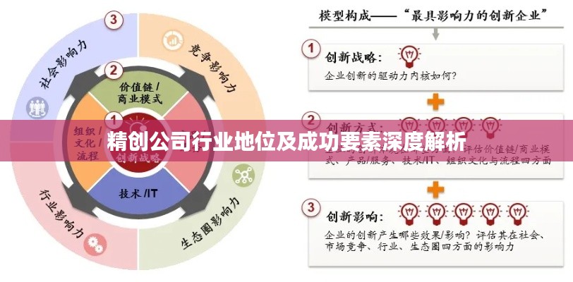 精创公司行业地位及成功要素深度解析