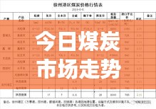 今日煤炭市场走势视频解析，最新动态与技术分析