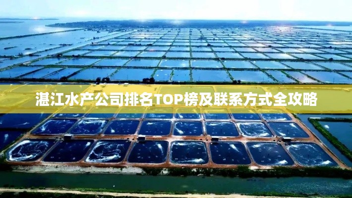 湛江水产公司排名TOP榜及联系方式全攻略