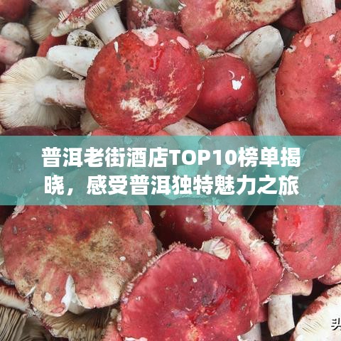 普洱老街酒店TOP10榜单揭晓，感受普洱独特魅力之旅