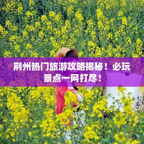 体育 第46页
