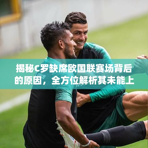 无冬无夏