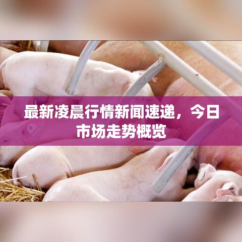 关于我们 第57页