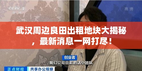 武汉周边良田出租地块大揭秘，最新消息一网打尽！