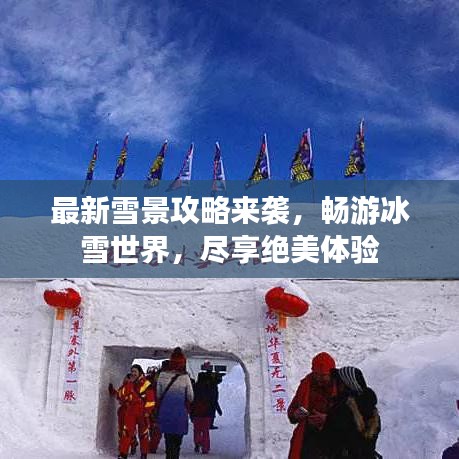 最新雪景攻略来袭，畅游冰雪世界，尽享绝美体验