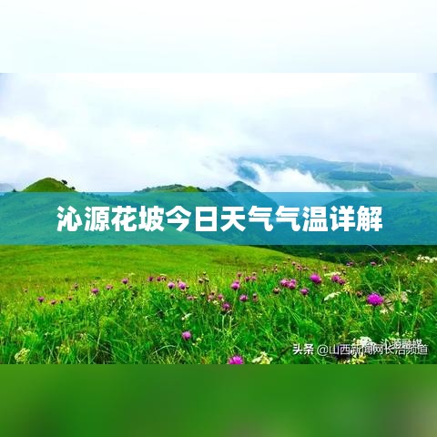 沁源花坡今日天气气温详解
