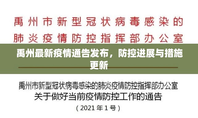 禹州最新疫情通告发布，防控进展与措施更新