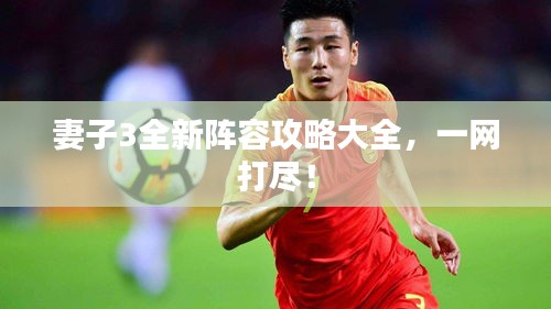 妻子3全新阵容攻略大全，一网打尽！