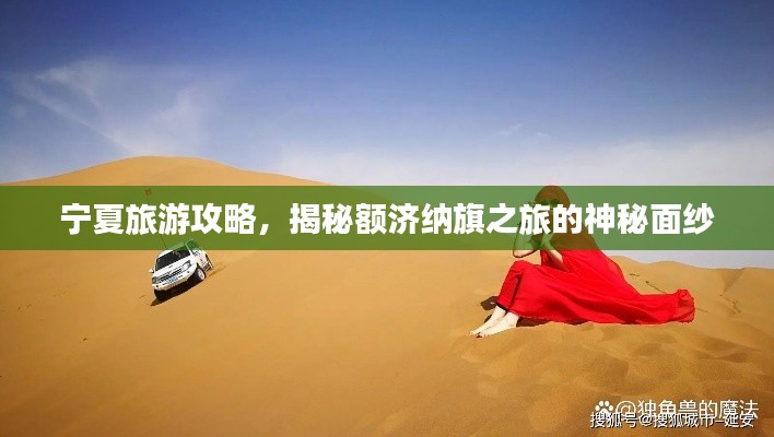 宁夏旅游攻略，揭秘额济纳旗之旅的神秘面纱