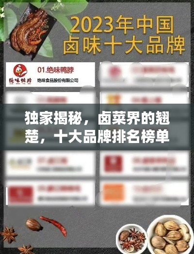 独家揭秘，卤菜界的翘楚，十大品牌排名榜单全解析