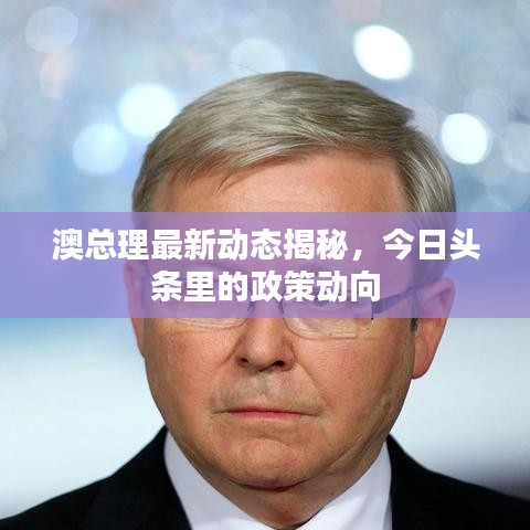 澳总理最新动态揭秘，今日头条里的政策动向