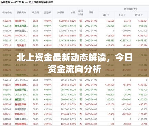 北上资金最新动态解读，今日资金流向分析