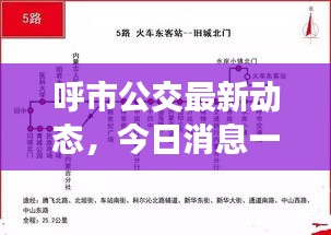呼市公交最新动态，今日消息一网打尽！