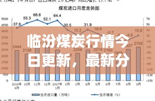 临汾煤炭行情今日更新，最新分析与趋势解读