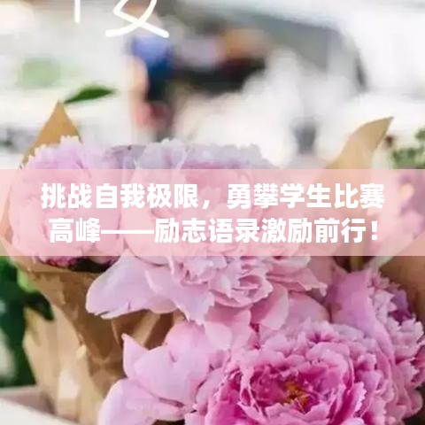 挑战自我极限，勇攀学生比赛高峰——励志语录激励前行！