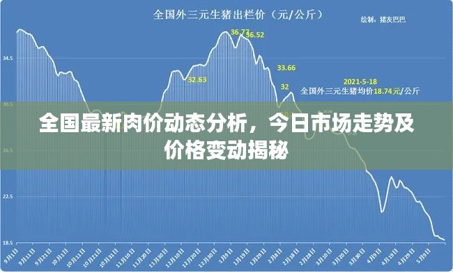 全国最新肉价动态分析，今日市场走势及价格变动揭秘