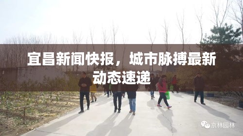 宜昌新闻快报，城市脉搏最新动态速递