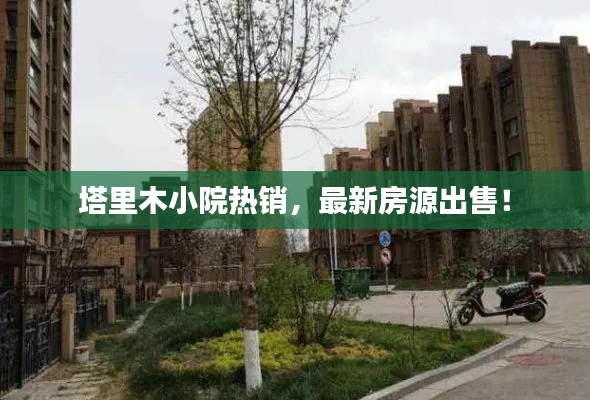塔里木小院热销，最新房源出售！