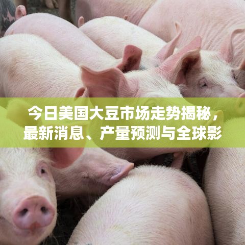 今日美国大豆市场走势揭秘，最新消息、产量预测与全球影响分析