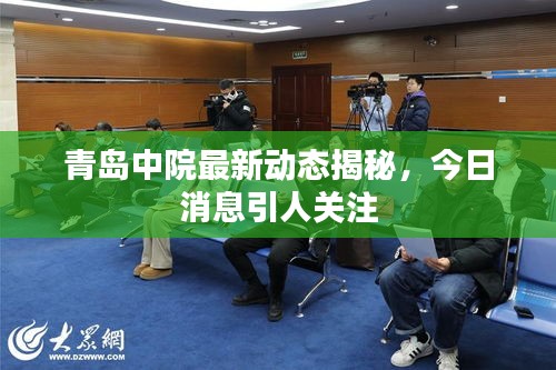 青岛中院最新动态揭秘，今日消息引人关注
