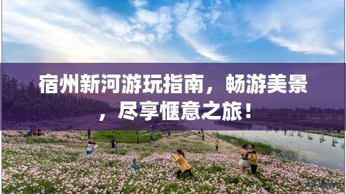 宿州新河游玩指南，畅游美景，尽享惬意之旅！