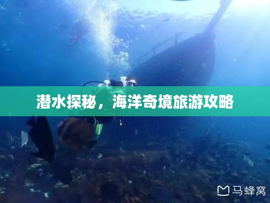 潜水探秘，海洋奇境旅游攻略