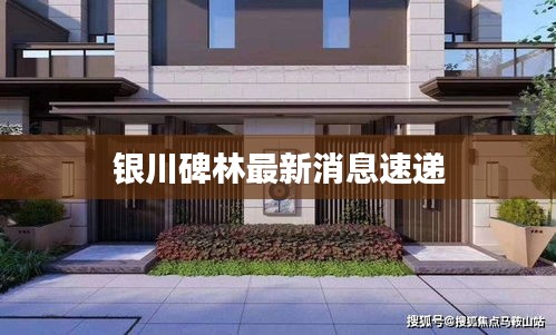 银川碑林最新消息速递