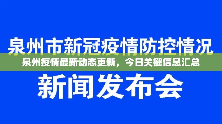 泉州疫情最新动态更新，今日关键信息汇总