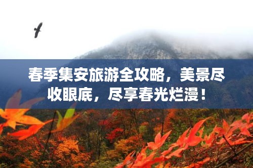 春季集安旅游全攻略，美景尽收眼底，尽享春光烂漫！
